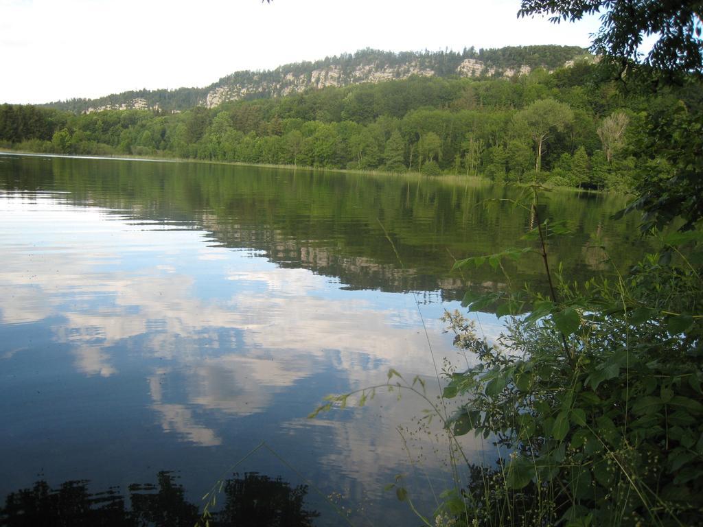 Auberge Du Herisson La Chaux-du-Dombief ภายนอก รูปภาพ